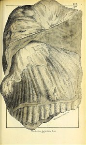 n478_w1150