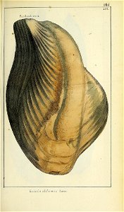 n376_w1150