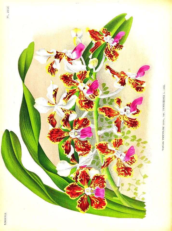 n153_w1150