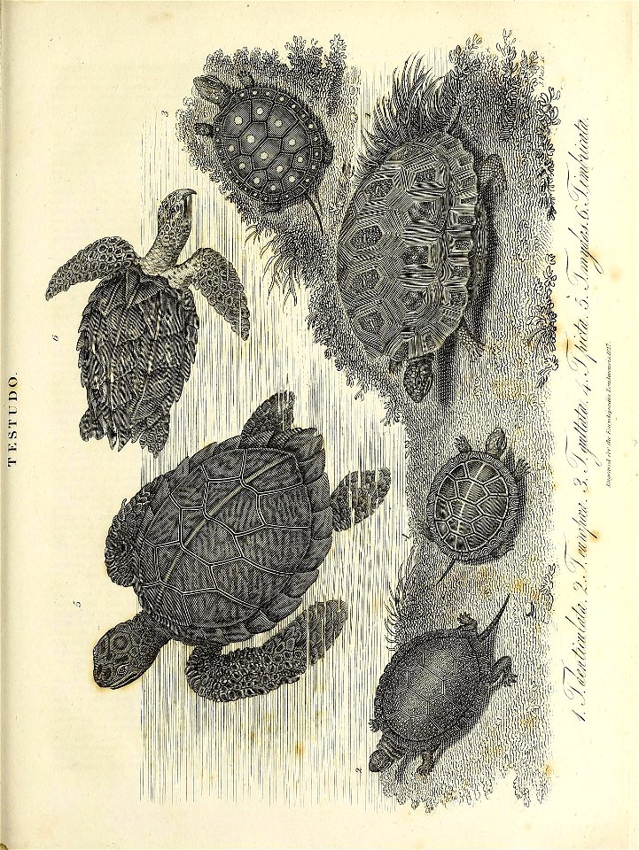 n1012_w1150