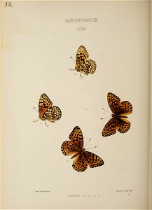 n171_w1150