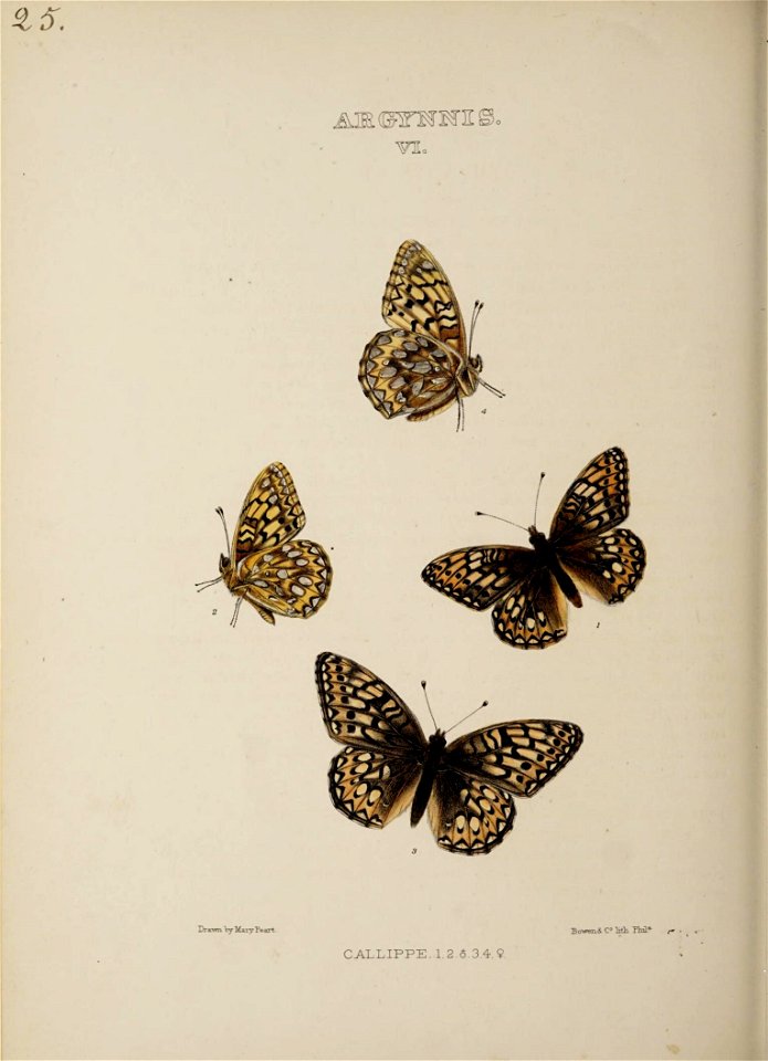 n143_w1150