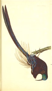 n53_w1150
