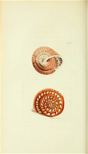 n161_w1150