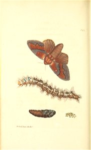 n253_w1150