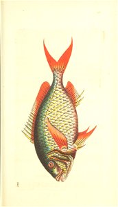 n118_w1150