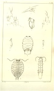 n593_w1150