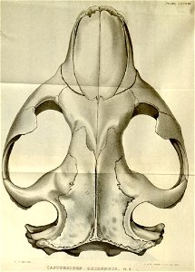 n472_w1150