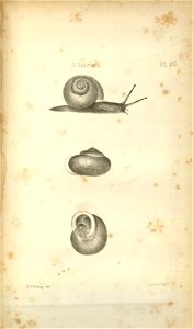 n558_w1150