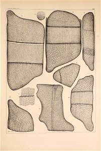 n178_w1150