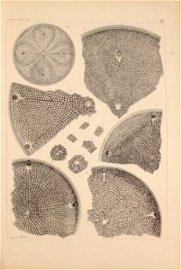 n52_w1150