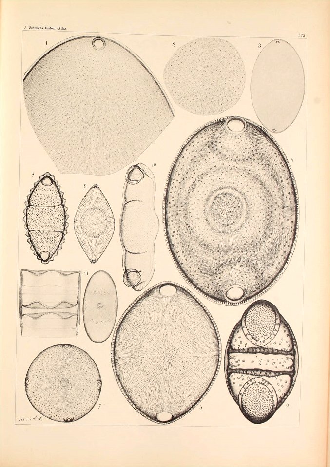 n123_w1150