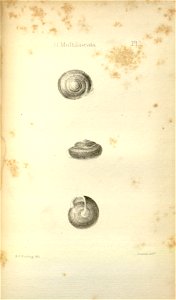 n552_w1150