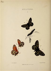 n181_w1150