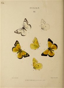 n89_w1150