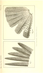 n356_w1150