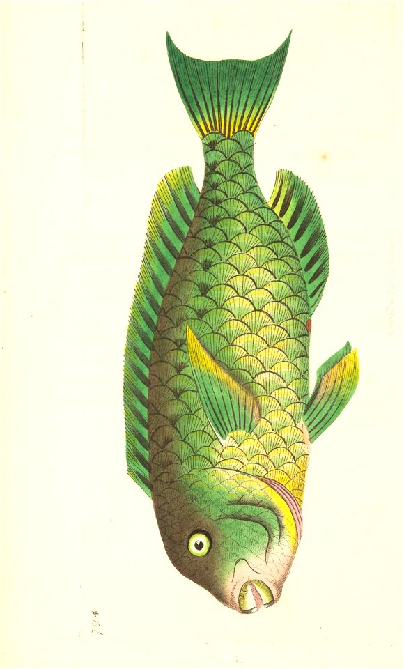 n87_w1150