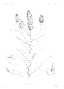 n21_w1150