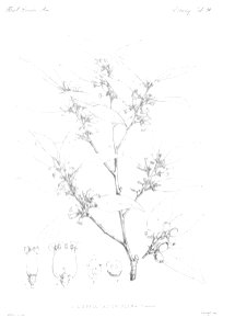 n20_w1150