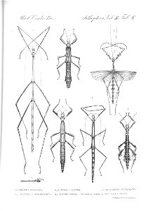 n422_w1150