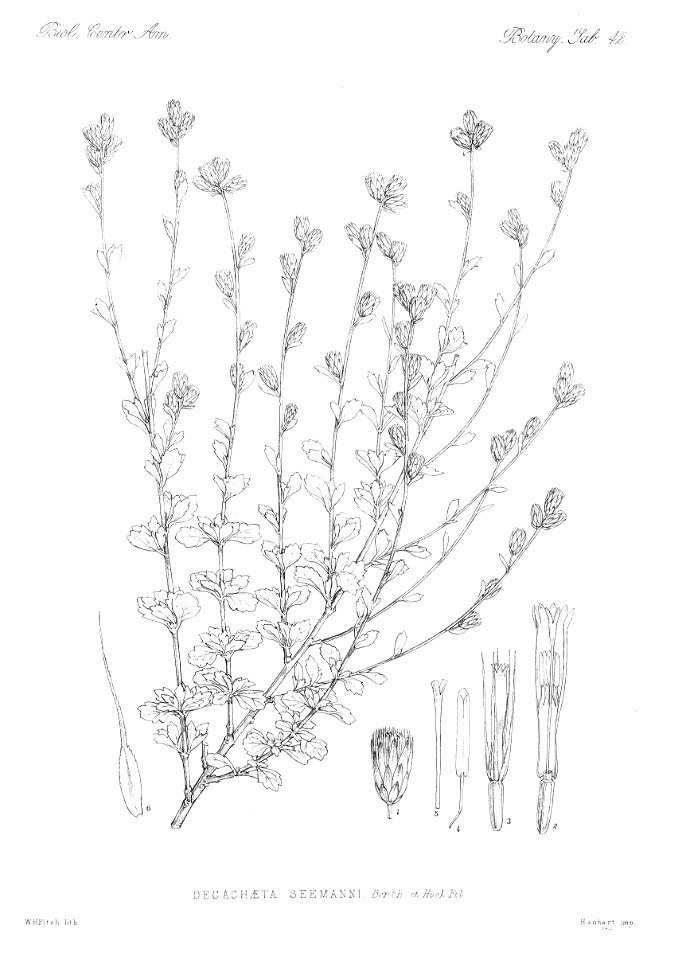 n49_w1150