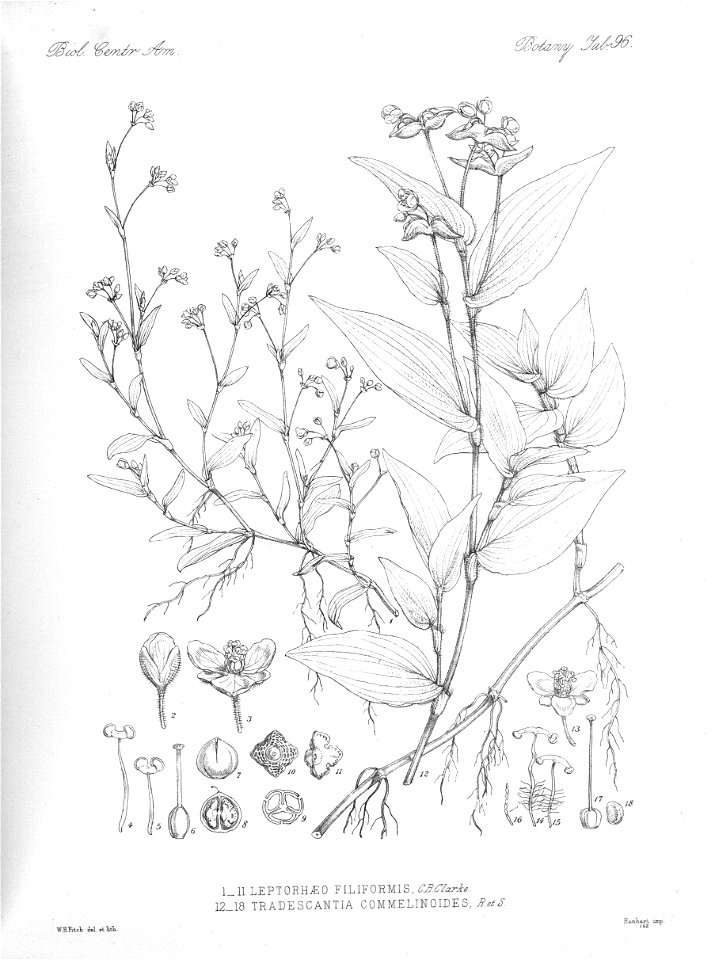 n103_w1150