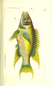 n163_w1150