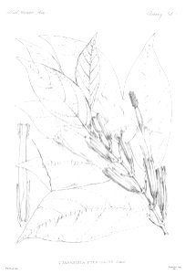n16_w1150