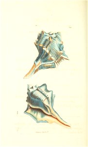 n256_w1150