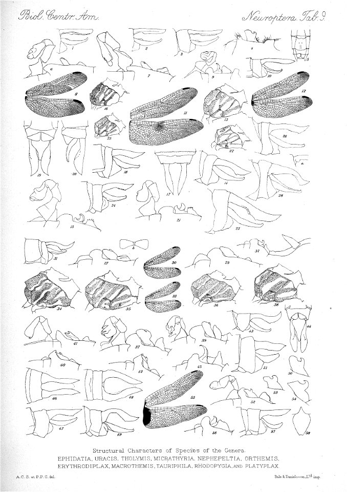 n467_w1150