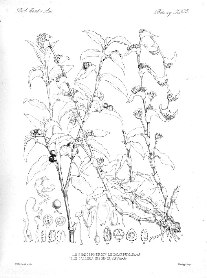 n102_w1150