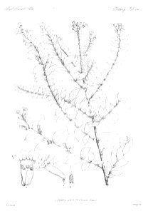 n30_w1150