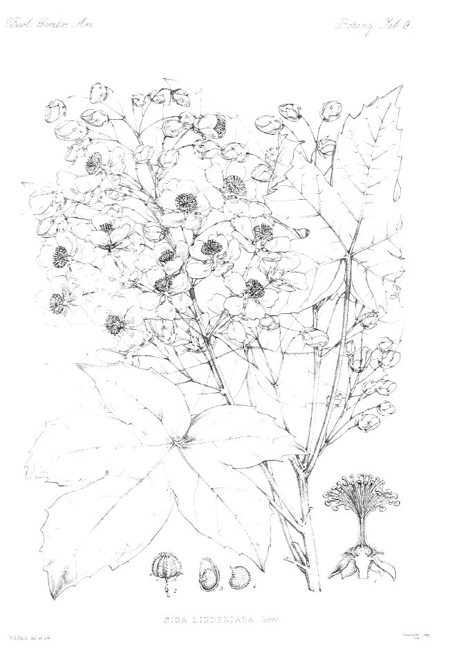 n15_w1150