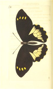 n78_w1150