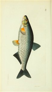 n69_w1150