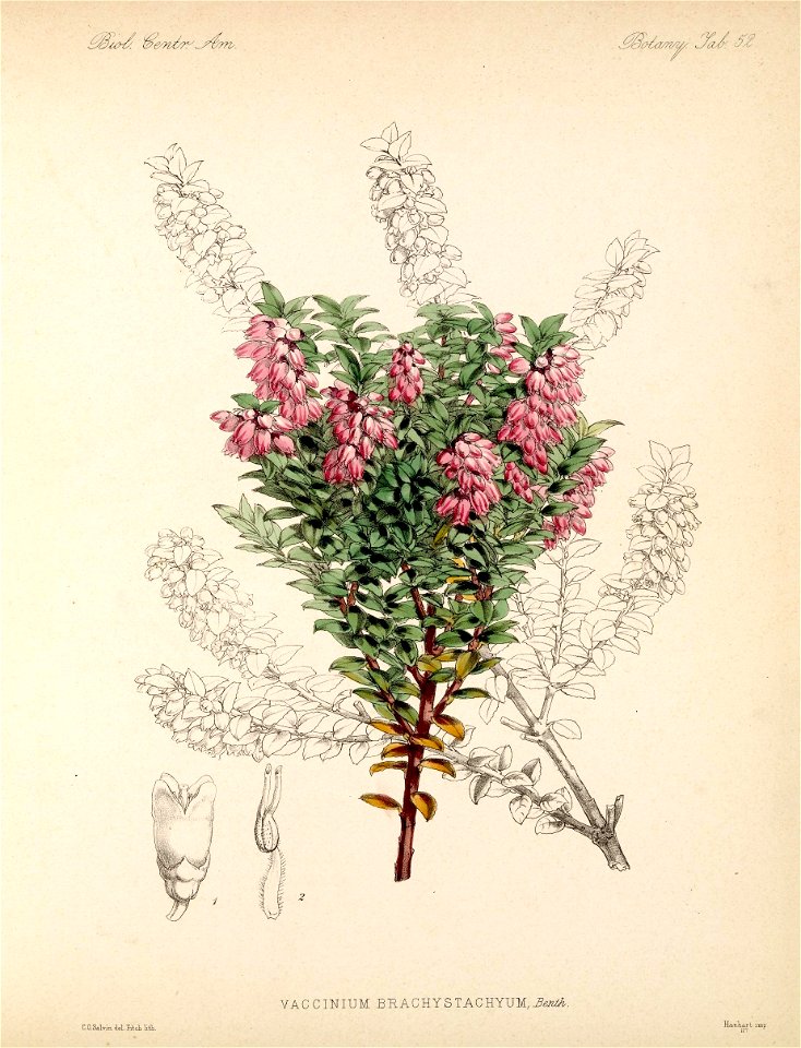 n59_w1150