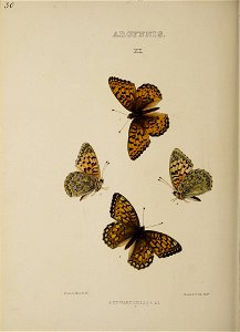 n163_w1150