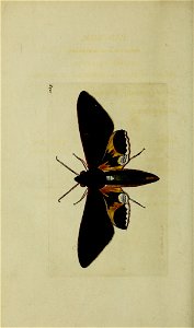n111_w1150