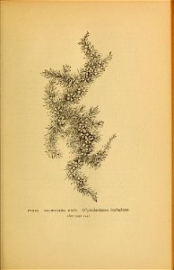 n128_w1150