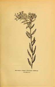 n216_w1150