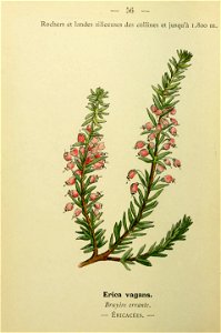 n133_w1150