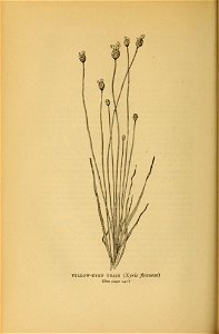 n163_w1150