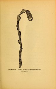 n122_w1150