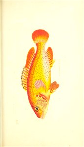 n85_w1150