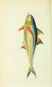 n137_w1150