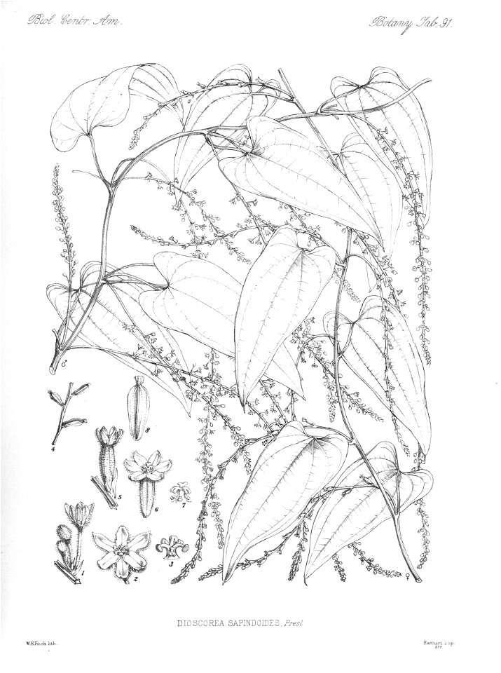 n98_w1150