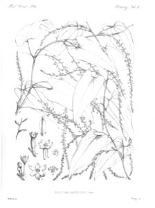 n98_w1150