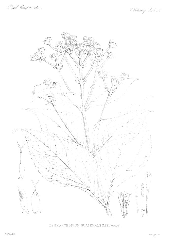 n52_w1150