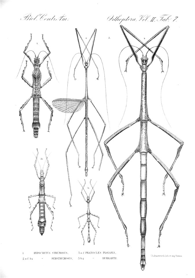 n423_w1150