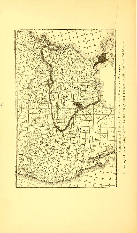 n411_w1150
